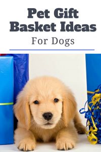 Pet Gift Basket Ideas For Dog - Spoil your best friend with a gift basket